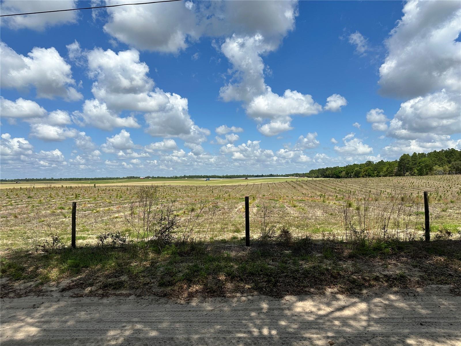 DIVERSIFIED PROPERTIES - Land