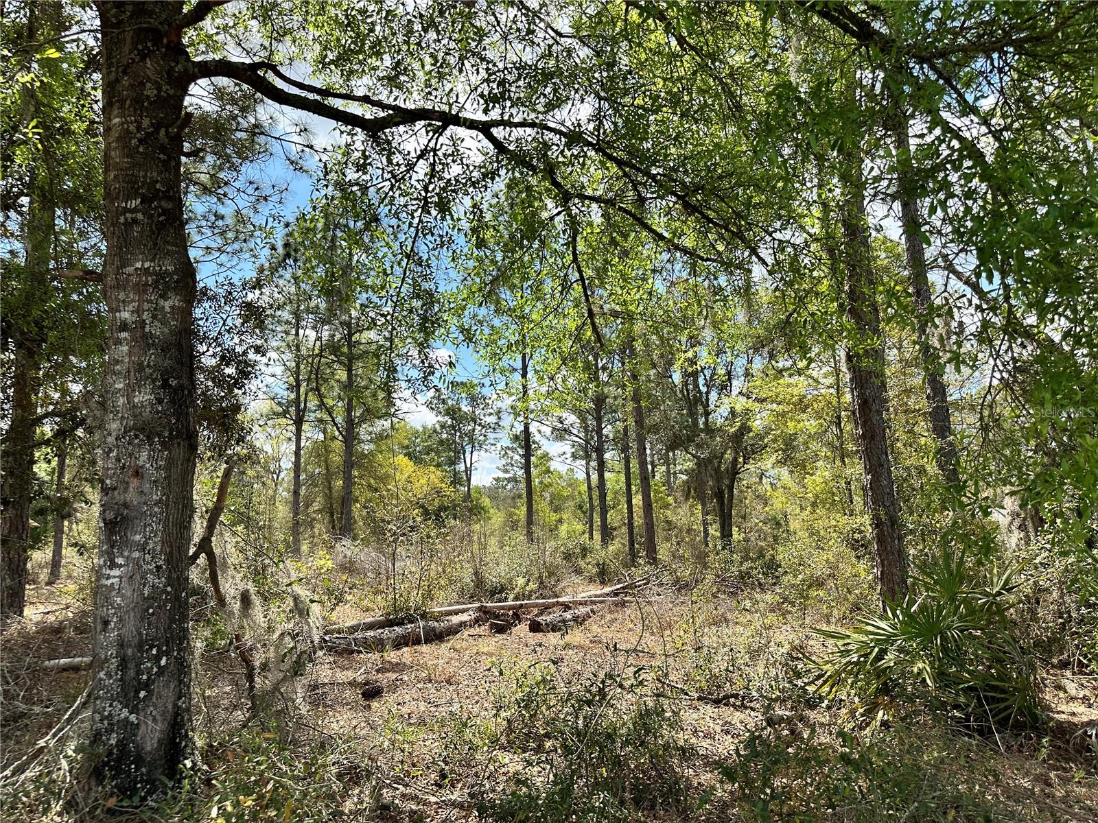 DIVERSIFIED PROPERTIES - Land