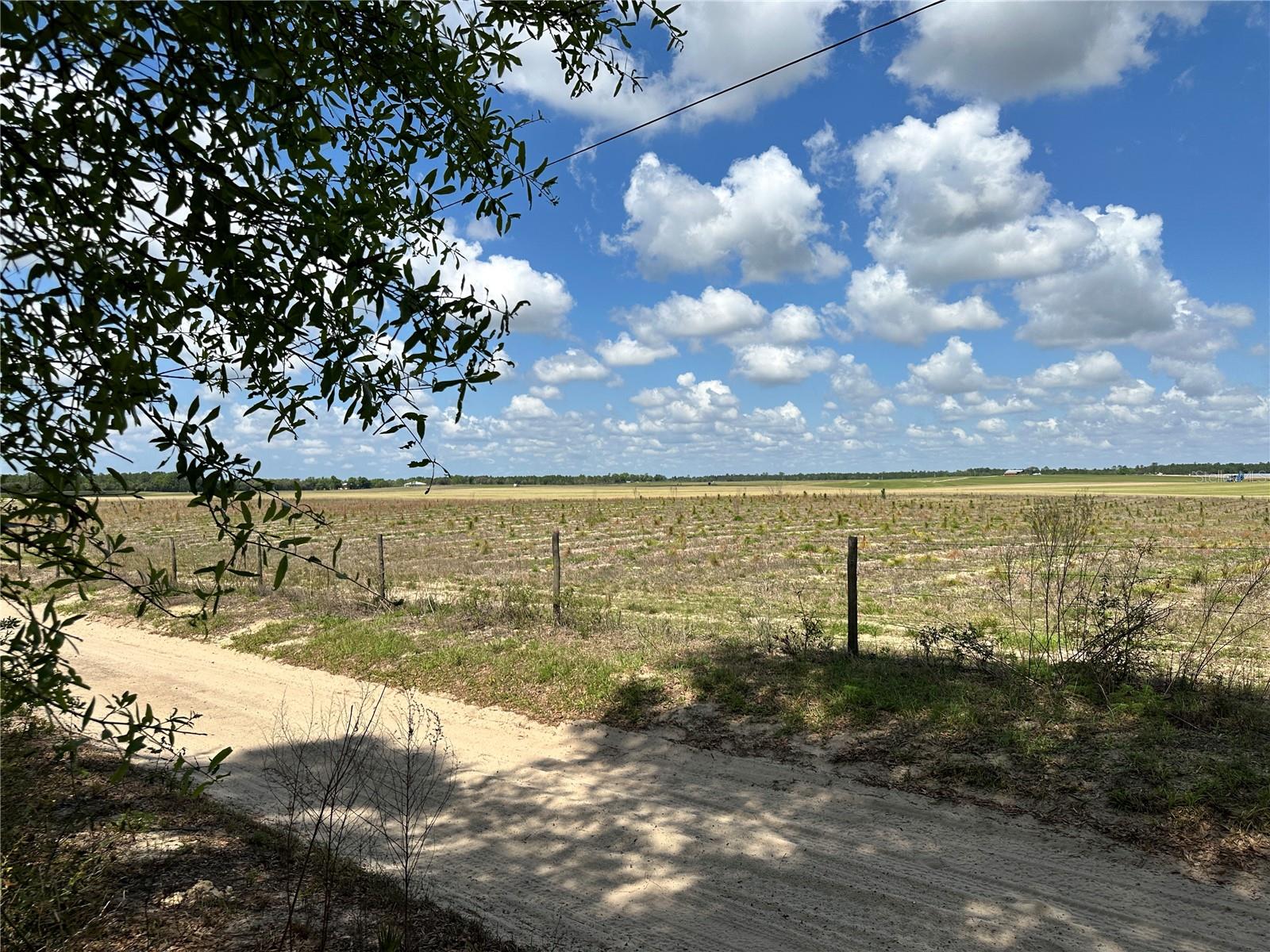 DIVERSIFIED PROPERTIES - Land