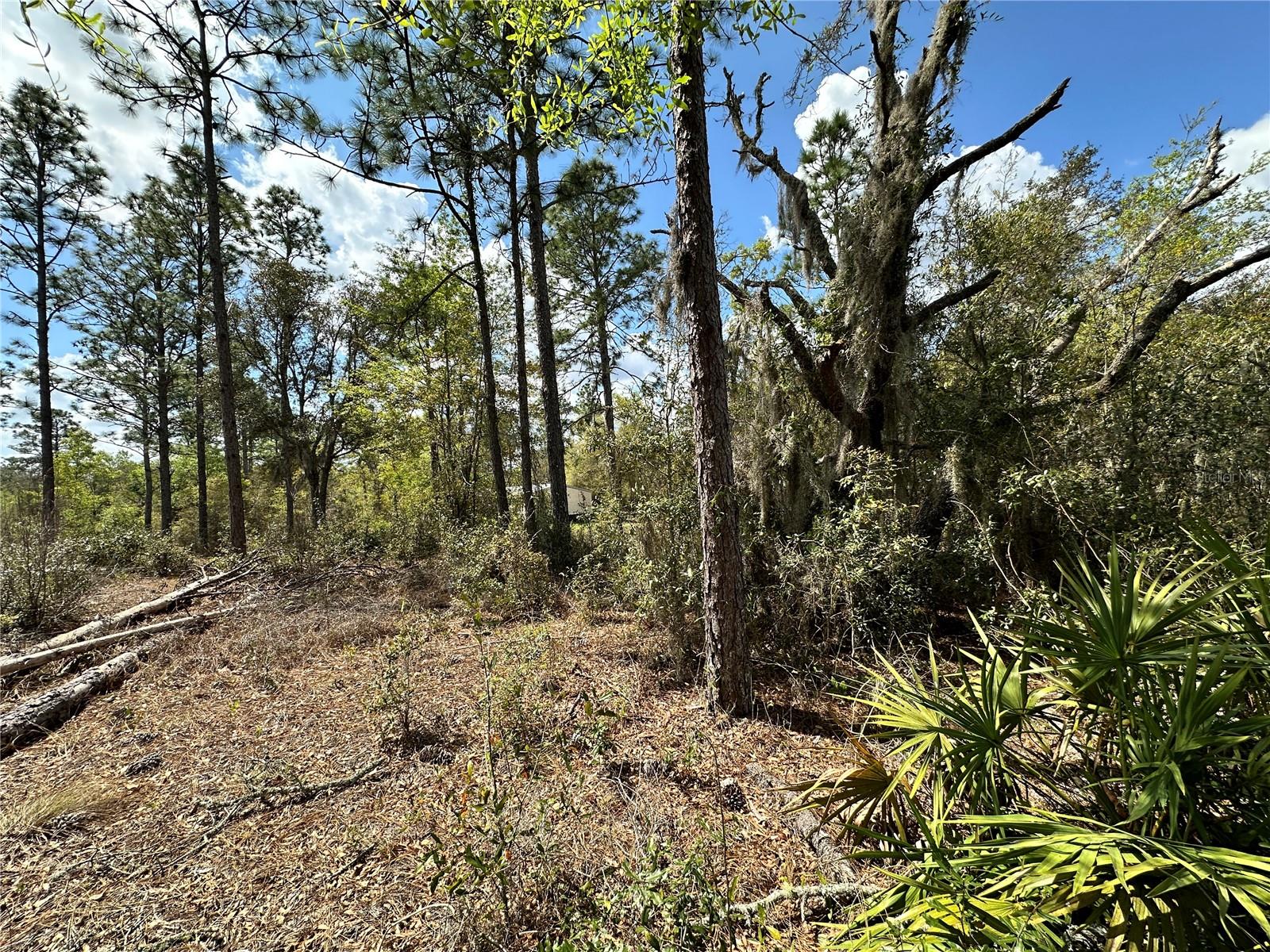 DIVERSIFIED PROPERTIES - Land