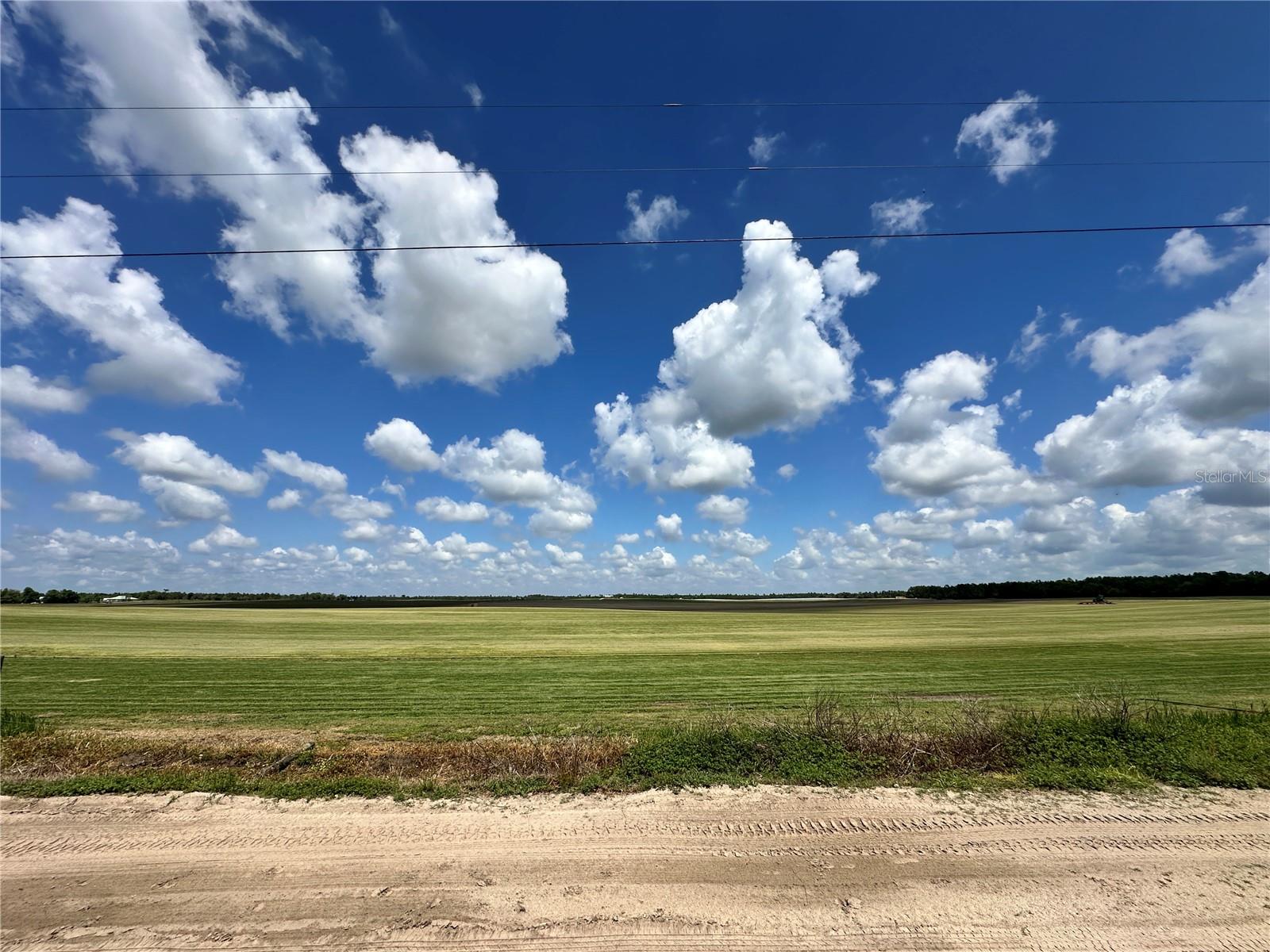 DIVERSIFIED PROPERTIES - Land