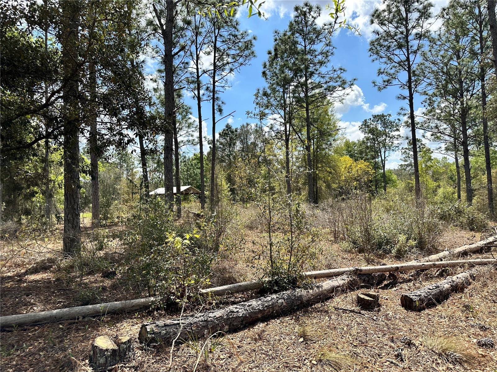 DIVERSIFIED PROPERTIES - Land