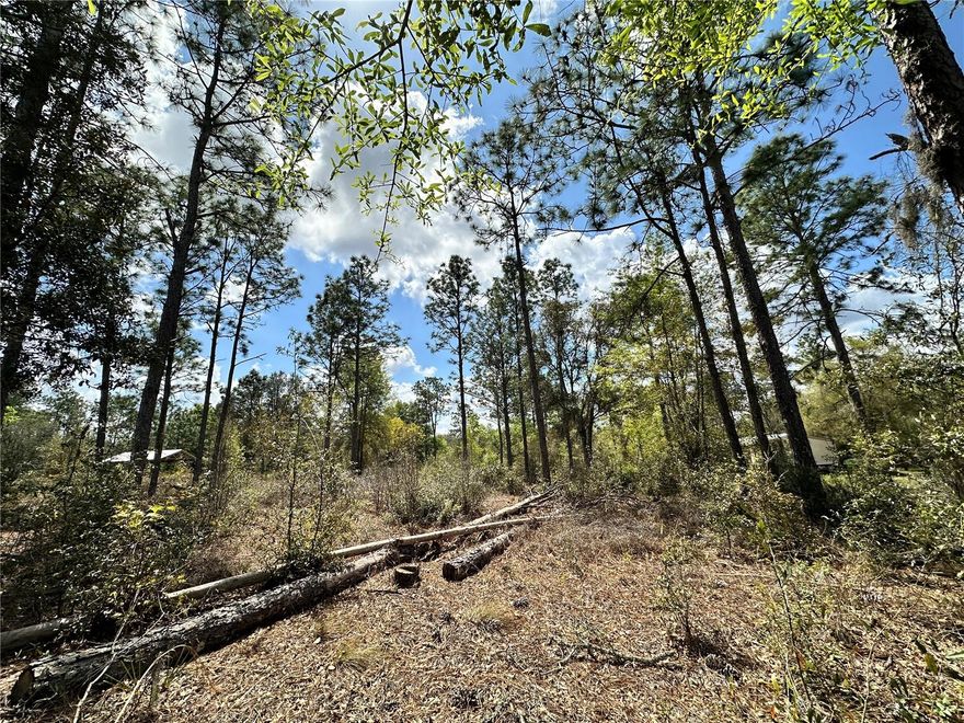 BRONSON FLORIDA 1.25 ACRE BUILDING PARCEL. Offering the perfect balance of country living and convenience. Surrounded by natural beauty and open land, providing plenty of room to build a home, start a garden, keep animals, or simply enjoy quiet outdoor living. Parcel measures about 165' x 330'. This partially wooded parcel provides privacy while still being just a short drive from local shops, schools, and nearby cities like Gainesville. With no HOA restrictions, no flood zones and zoned Rural Residential allowing for manufactured homes or custom builds. 
Bronson is known for its relaxed pace, lower property taxes than in Gainesville, and access to Florida’s nature attractions — including springs, trails, and rivers — making a 1.25 acre property ideal for a homestead, weekend retreat, or long-term investment. Ideal, affordable opportunity to own Florida acreage with room to grow.