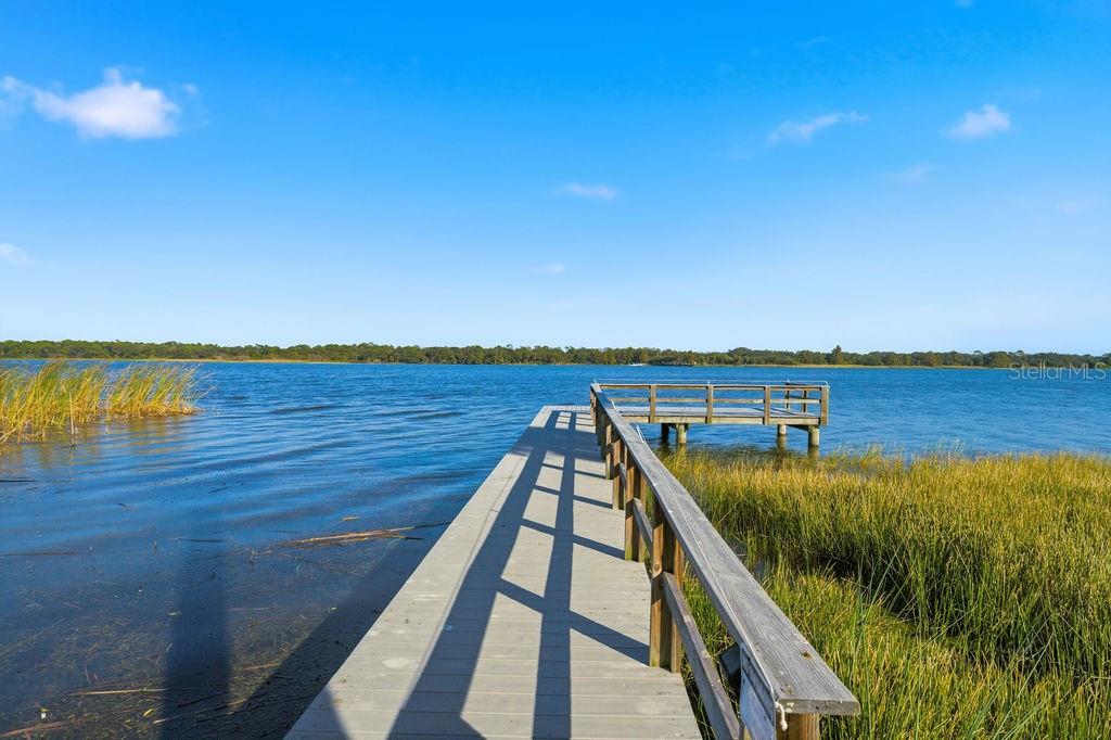 ENCLAVE AT LAKE SEMINOLE - Residential