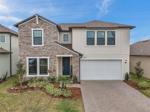 22294 STORYBOOK CABIN WAY LAND O LAKES FL 34637
