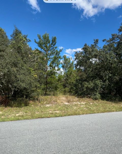 TBD SW 166TH STREET OCALA FL 34473