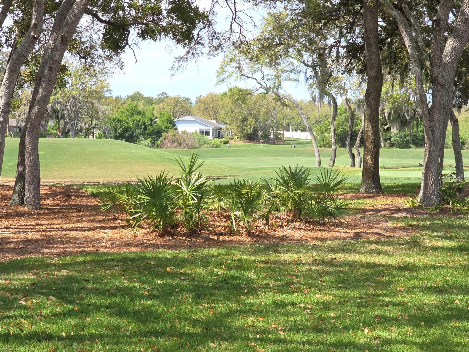 TIMBER PINES - Residential