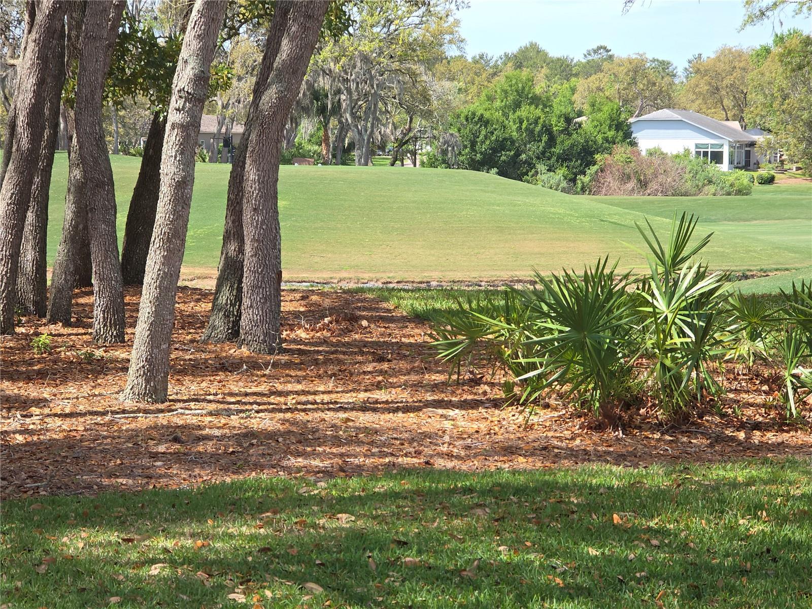 TIMBER PINES - Residential