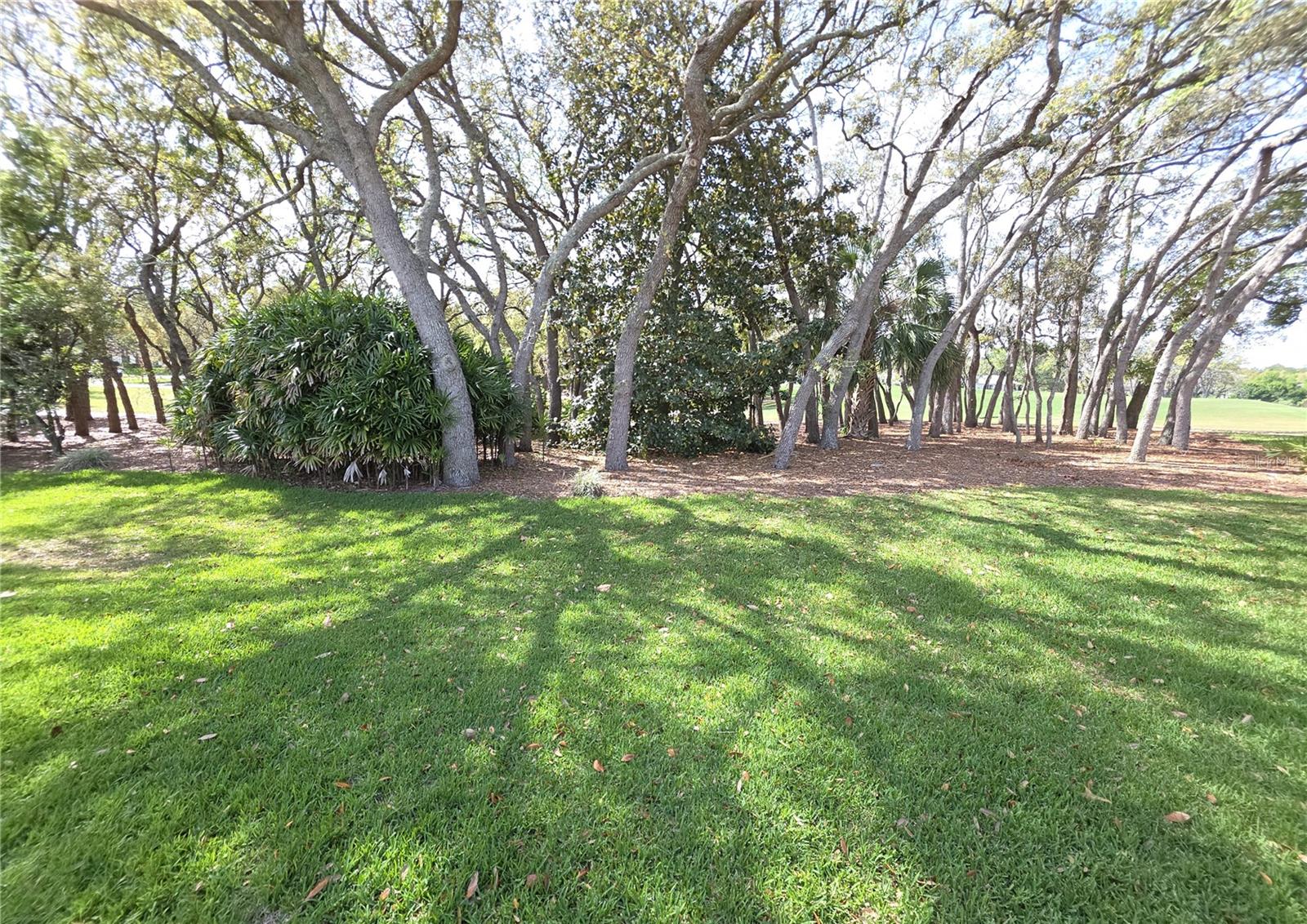 TIMBER PINES - Residential