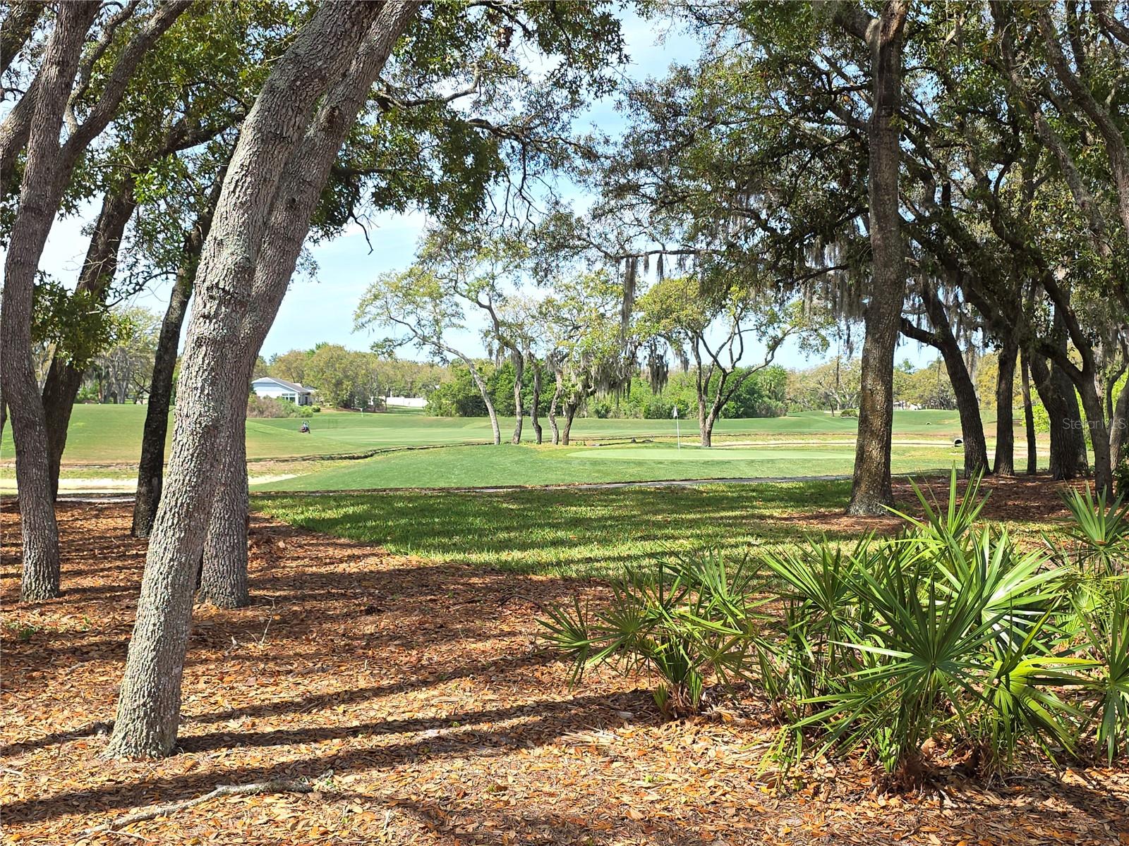 TIMBER PINES - Residential