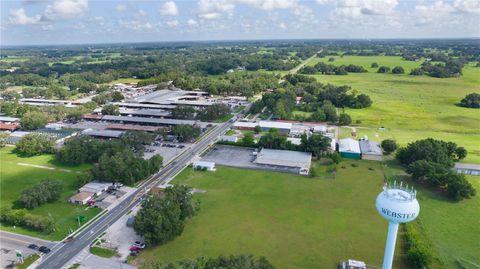 Tiny photo for 453 N Market Boulevard, Webster, FL 33597 (MLS # TB8400647)