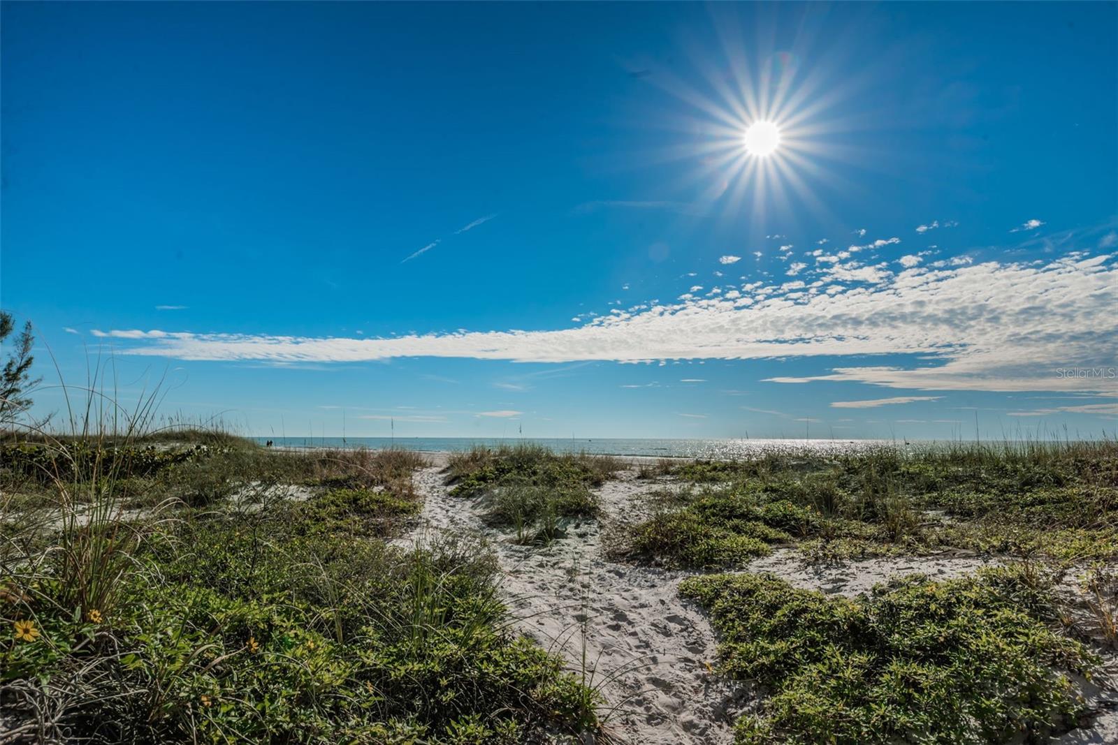 MADEIRA SANDS CONDO - Residential