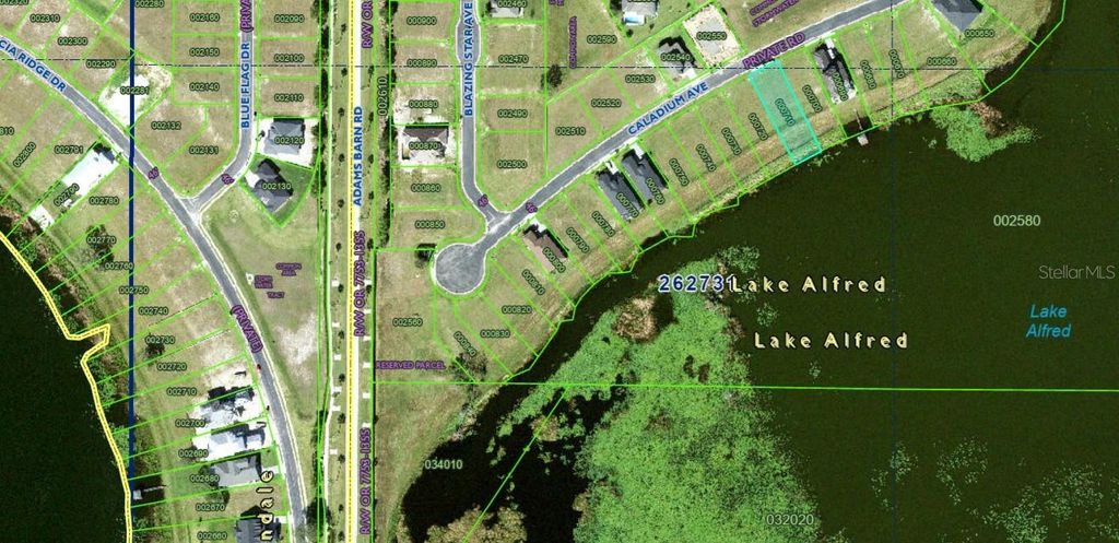 Photo of 160 Caladium Avenue, Lake Alfred, FL 33850 (MLS # P4934407)