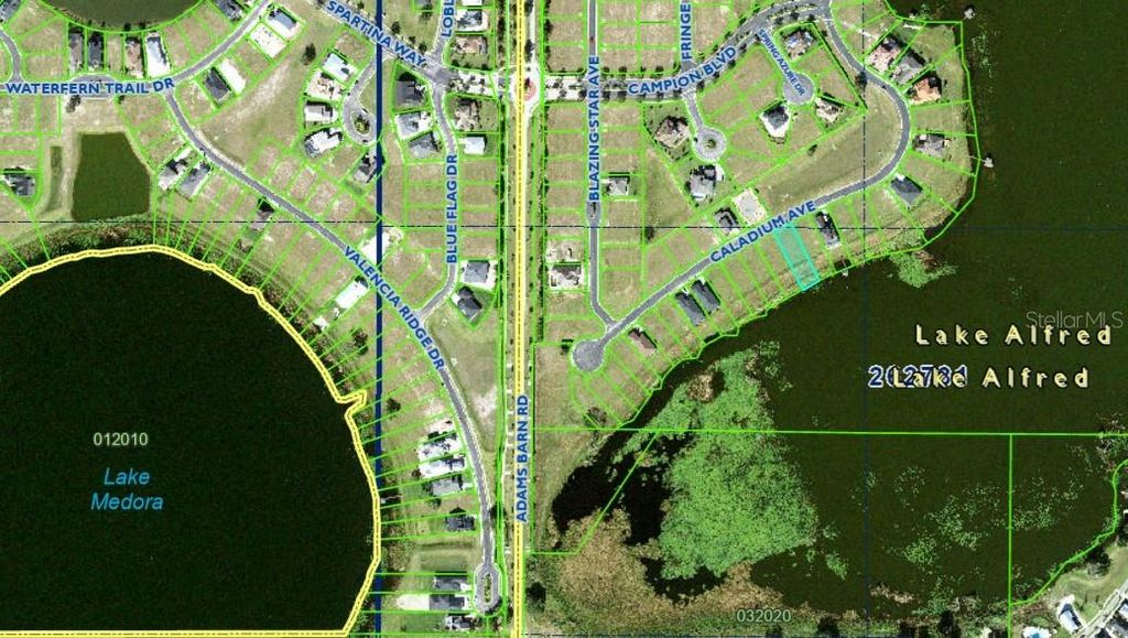 Photo of 160 Caladium Avenue, Lake Alfred, FL 33850 (MLS # P4934407)