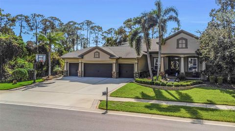 3668 JANUS WAY PALM HARBOR FL 34685