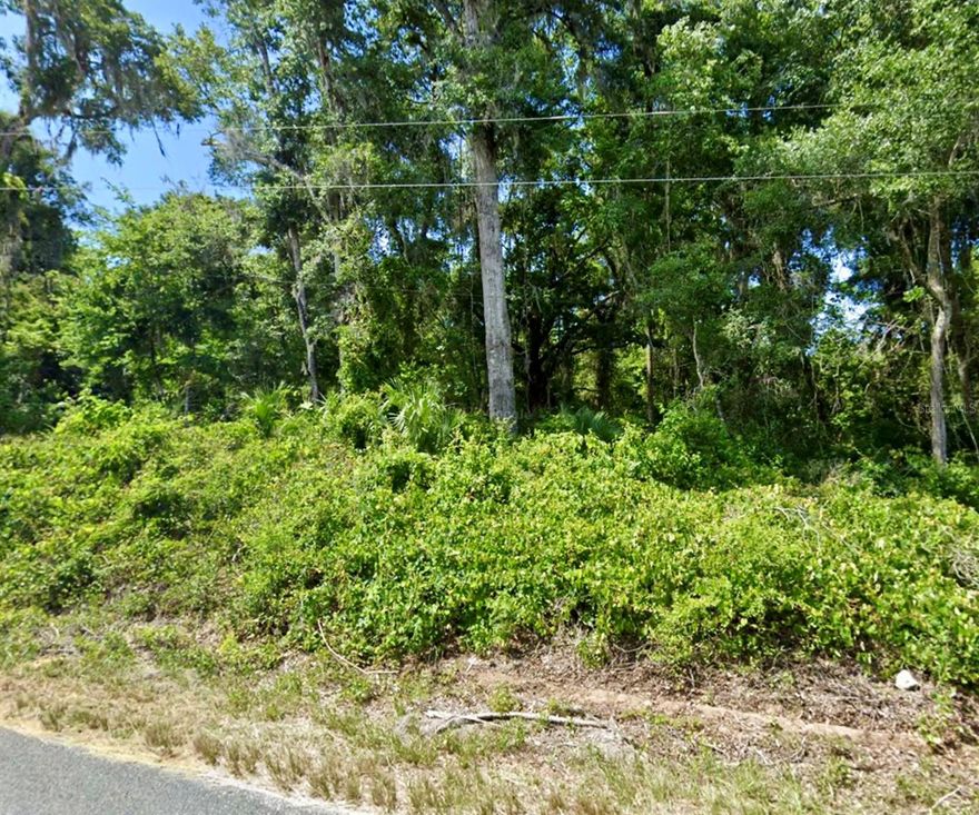 Build your dream home in the serenity of Belleview Heights Estates! With nature surrounding, this lot offers privacy and simplicity that awaits it's new owner. Call today for more information!