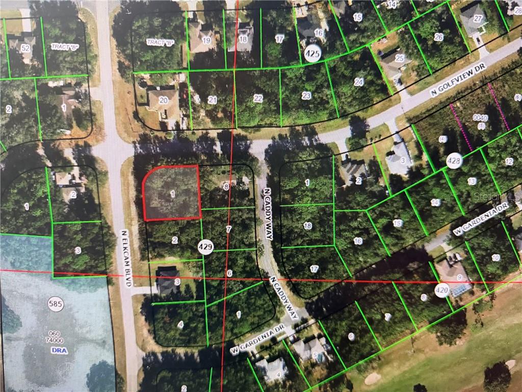 Photo of 9198 N Golfview Drive, Citrus Springs, FL 34434 (MLS # CC858519)