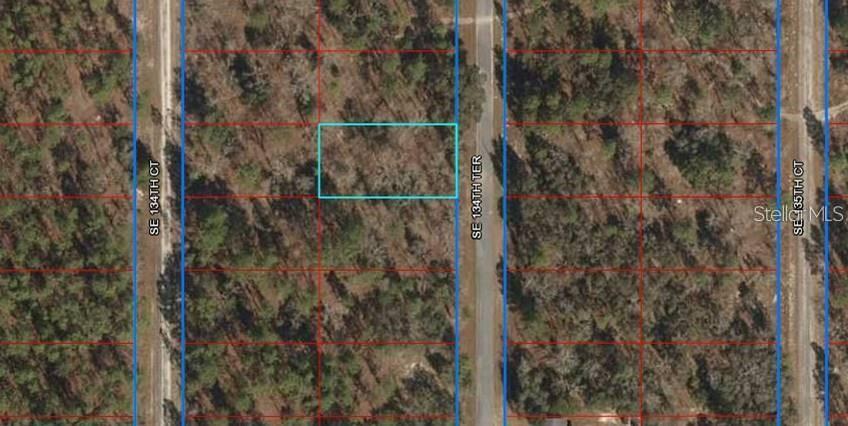 (1) of (3) CONNECTED Lots for Sale and available by the same seller in Rainbow Lakes Estates. AFFORDABLE, 0.25 ACRE, PRIVATE, HIGH AND DRY, BUILDING LOT, with PAVED ROAD Great Trees you can work with and FLAT READY TO BUILD ON. Zoned for Site Built Homes ONLY, NO MOBILE HOMES! Build your DREAM HOME or buy and hold as an investment with LOW TAXES. Near major roads for easy commuting to work, shopping, restaurants, and schools. NO HOA, and very few neighbors, but still close to services and many lakes. Buy this land, buy all the lots and/or purchase an available land/home package and START BUILDING TODAY! https://qpublic.schneidercorp.com/Application.aspx? AppID=930&LayerID=18185&PageTypeID=1&PageID=8124&Q=771642274&KeyValue=0688000600