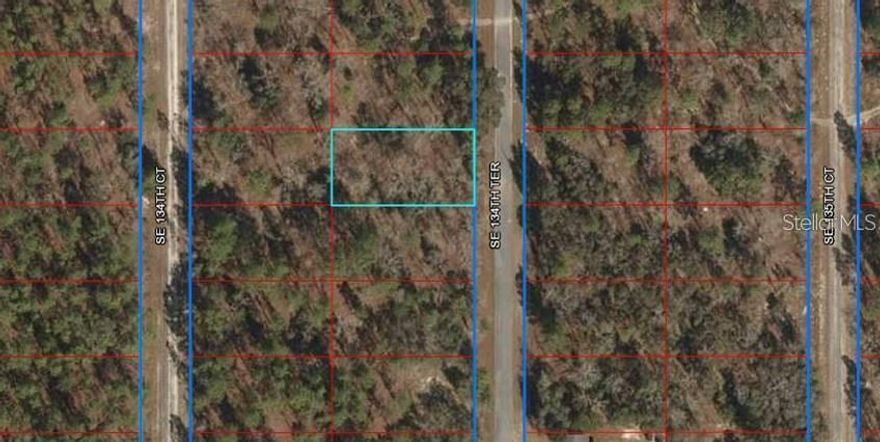(1) of (3) CONNECTED Lots for Sale and available by the same seller in Rainbow Lakes Estates.  AFFORDABLE, 0.25 ACRE, PRIVATE, HIGH AND DRY, BUILDING LOT, with PAVED ROAD Great Trees you can work with and FLAT READY TO BUILD ON. Zoned for Site Built Homes ONLY, NO MOBILE HOMES!  Build your DREAM HOME or buy and hold as an investment with LOW TAXES. Near major roads for easy commuting to work, shopping, restaurants, and schools. NO HOA, and very few neighbors, but still close to services and many lakes. Buy this land, buy all the lots and/or purchase an available land/home package and START BUILDING TODAY! https://qpublic.schneidercorp.com/Application.aspx? AppID=930&LayerID=18185&PageTypeID=1&PageID=8124&Q=771642274&KeyValue=0688000600
