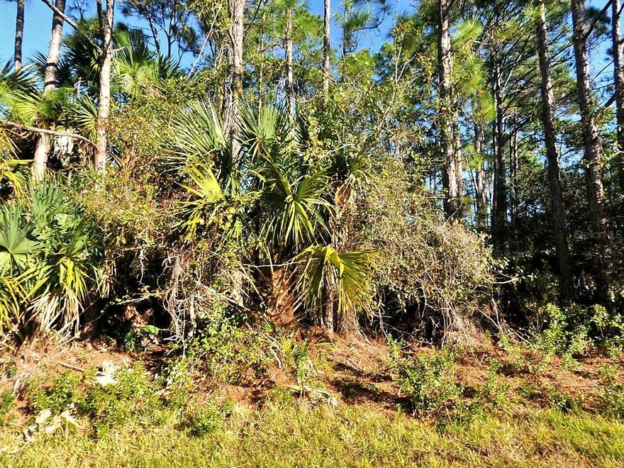 A large 0.23 acre of land around 10,000 Square foot on La Rosa Avenue in North Port, FL.  It's a very beautiful community with great schools, nice, paved roads, and electricity.  It is ready for a new house.