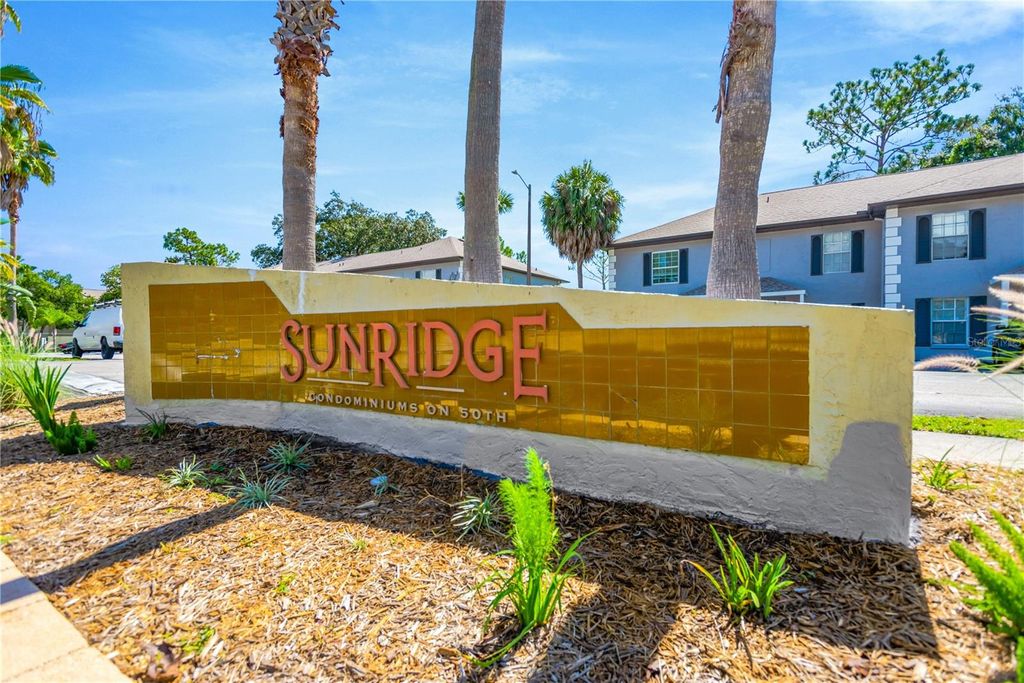 Photo of 5170 Sunridge Palms Drive, Tampa, FL 33617 (MLS # TB8465892)