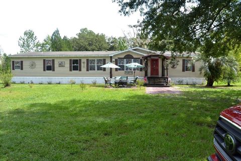 Photo of 13921 Pine Meadow Road, Kathleen, FL 33849 (MLS # S5143165)