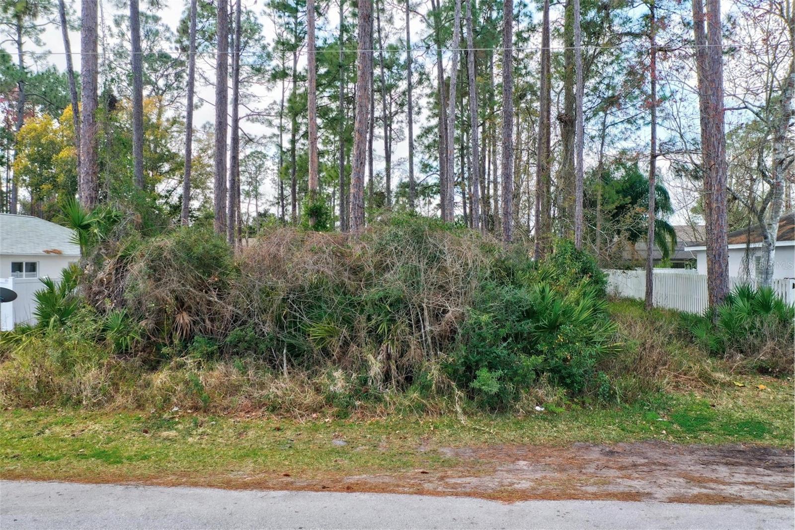 PALM COAST SEC 17 - Land