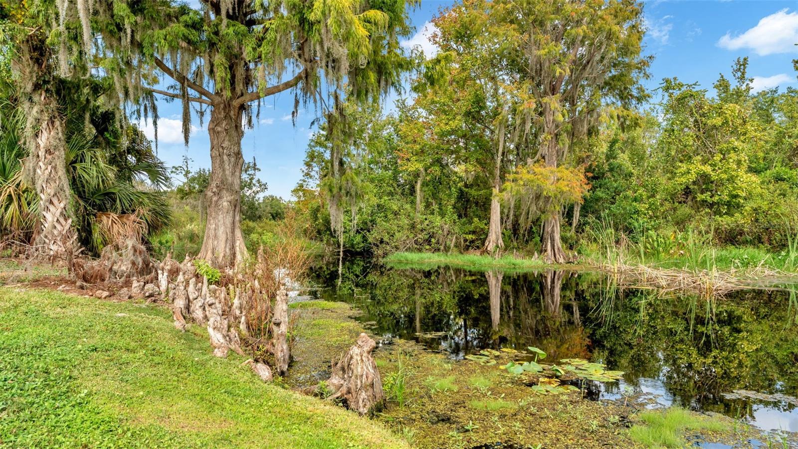 NATURES EDGE GOLF ESTATES - Residential