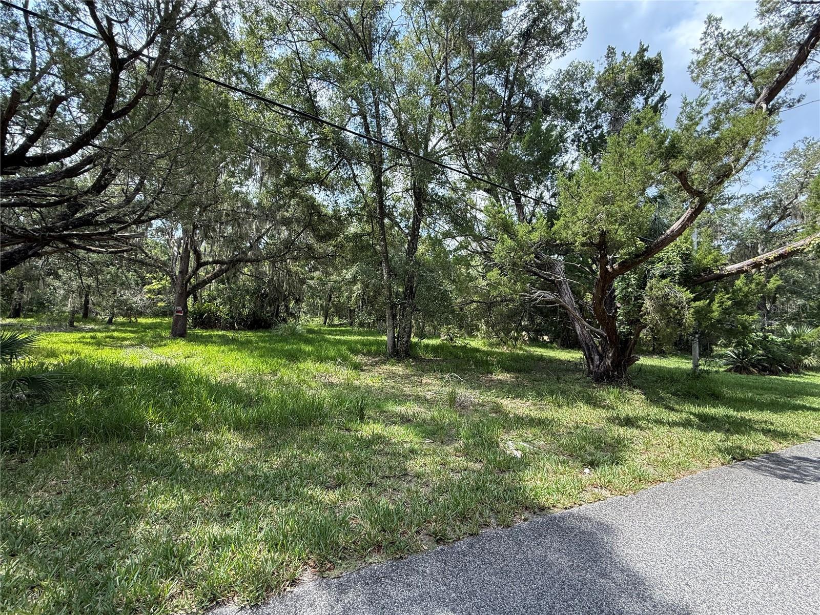 MASON PARK UNIT 01 - Land