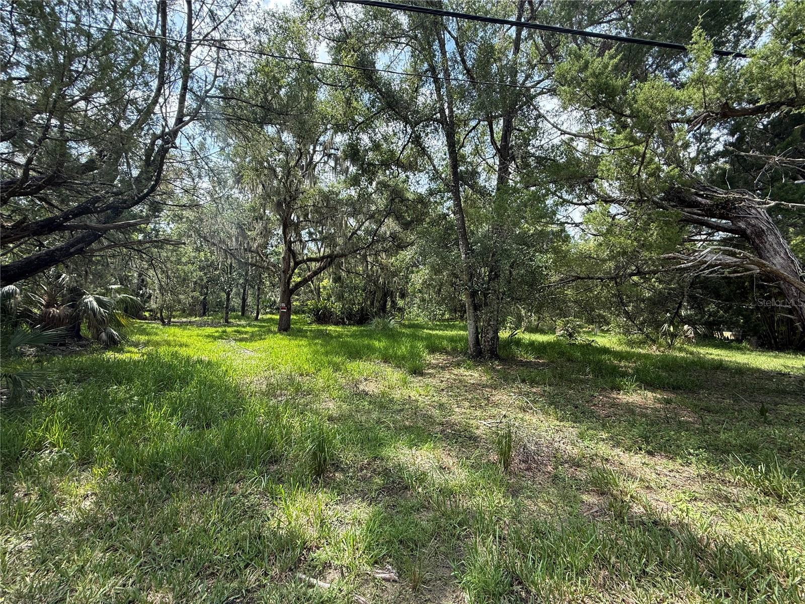 Discover the charm of Old Homosassa with this opportunity to own 0.88 acres of land—ready and waiting for your dream home! Nestled in a peaceful, natural setting, this spacious lot offers endless possibilities. Whether you envision a private retreat, a custom-built homestead, or a weekend getaway close to the water, this property provides the perfect canvas. Located just minutes from the Homosassa River, marinas, restaurants, and the area's famous springs, you'll enjoy the best of Florida’s nature coast lifestyle. No HOA, no deed restrictions—just wide-open potential. Don't miss your chance to create something truly special in one of Citrus County’s most beloved communities!