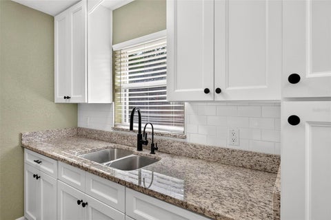 1125 N Tremain Street, Mount Dora, FL 32757