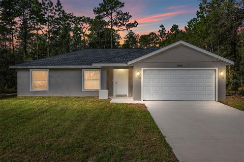 A home in DUNNELLON