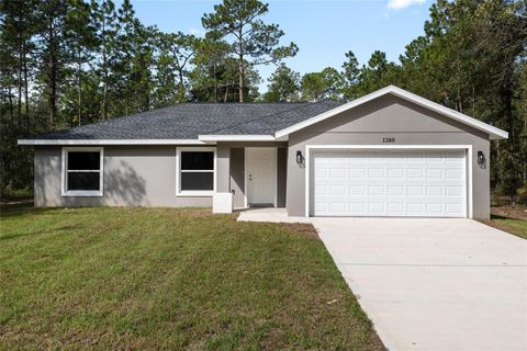 A home in DUNNELLON