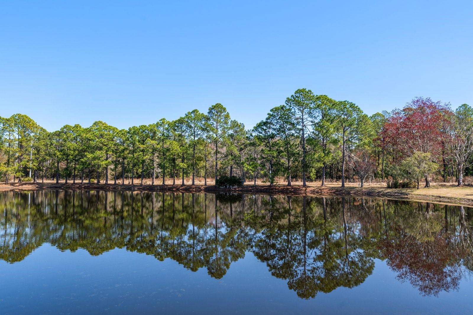 CRESCENT OAKS COUNTRY CLUB 3 - Residential