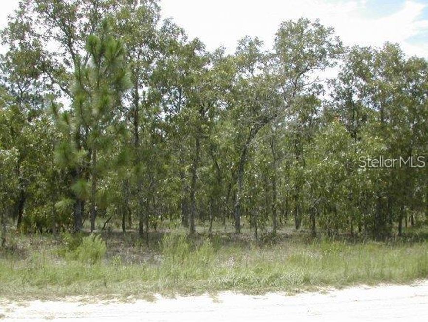 Beautiful Natural Setting. Great Investment for future growth or to build your Dream Home sometime later on. No time frame to build; no builder restrictions. Situated between Ocala and Dunnellon, this growing community of New Homes is within 6 minutes of shopping and 15 minutes of the Shopping Center Malls located on Hwy 200 in Ocala or 15 minutes to Rainbow River and Springs.