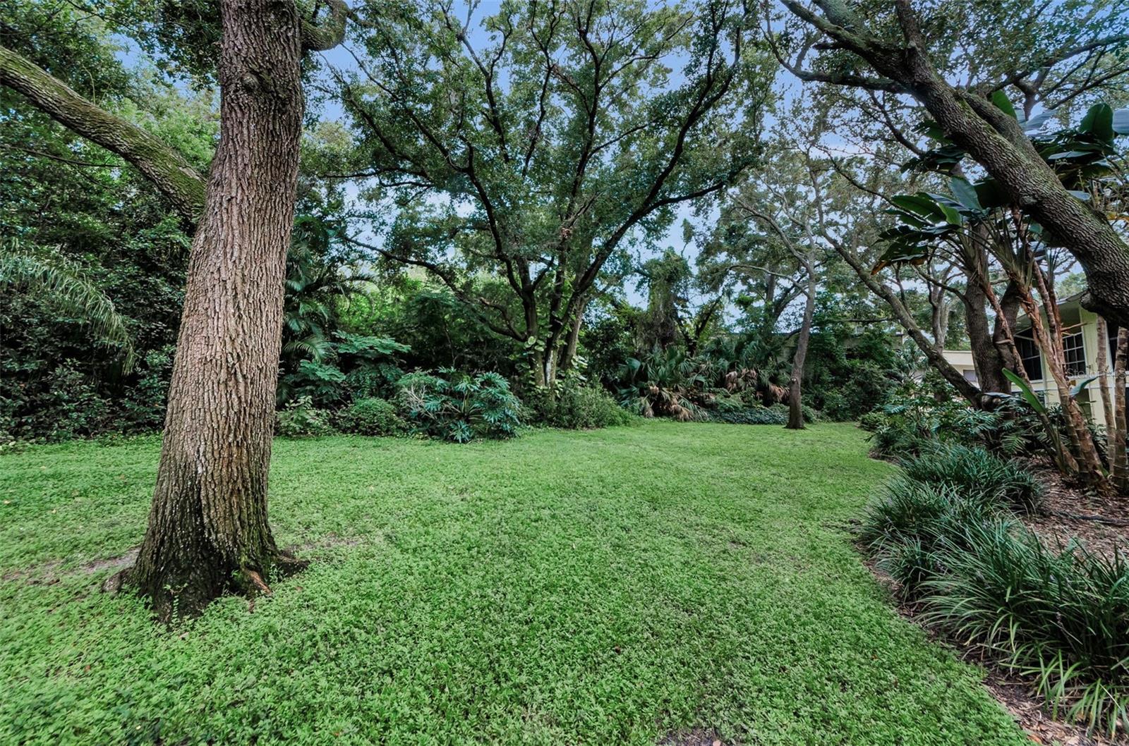 FOX CHASE WEST CONDO - Residential