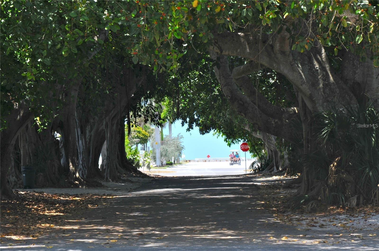 LANDINGS CORAL CRK - Residential