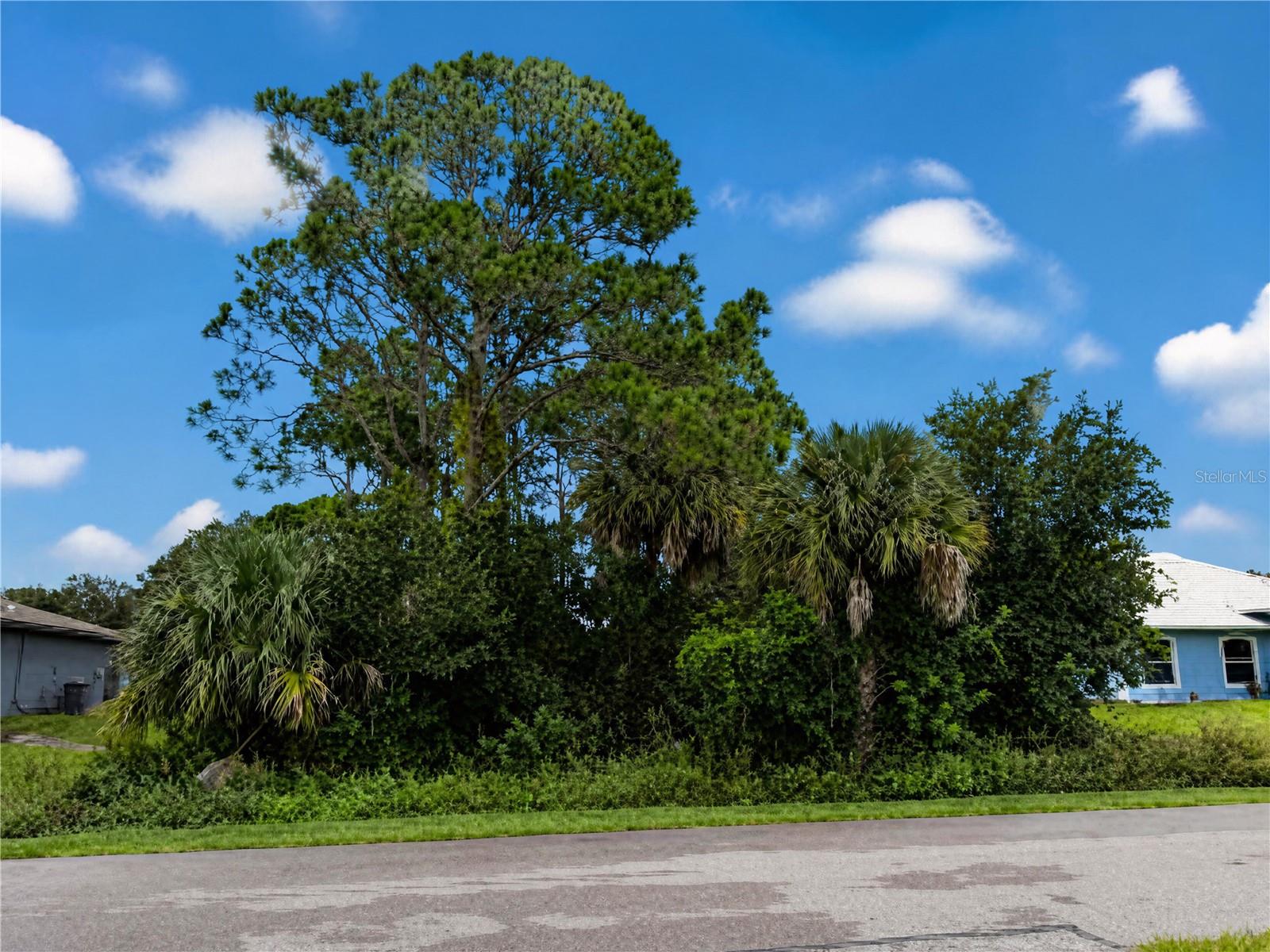 225 CATALONIA AVENUE NW