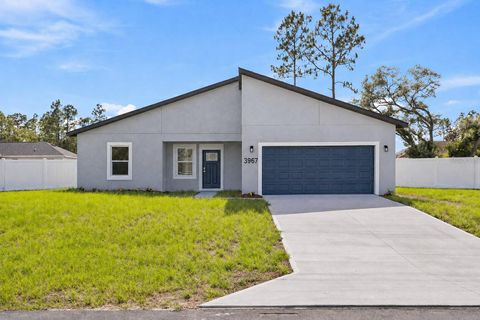 Photo of 3967 SW 169th Lane, Ocala, FL 34473 (MLS # O6342470)