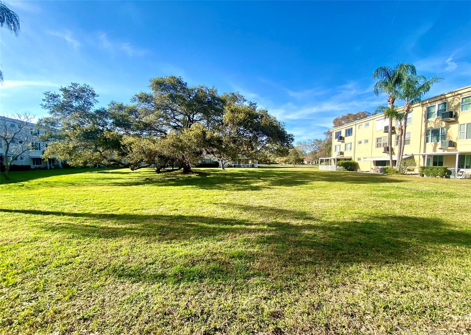 ON TOP OF THE WORLD - Residential