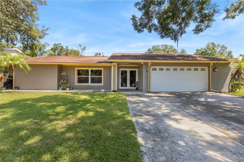 A home in BRANDON