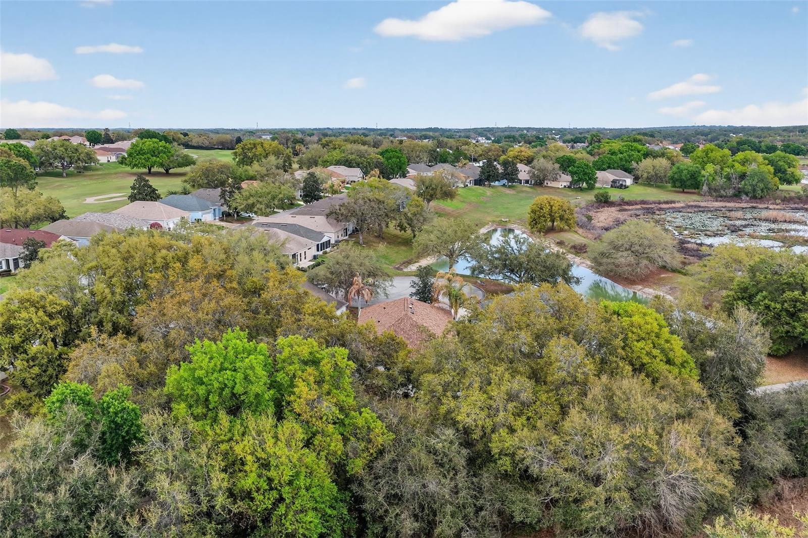 PLANTATION AT LEESBURG - Residential