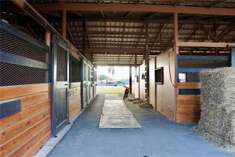 Tiny photo for 12895 NW Gainesville Road, Reddick, FL 32686 (MLS # OM720345)