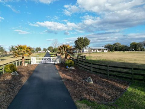 12895 NW GAINESVILLE ROAD REDDICK FL 32686