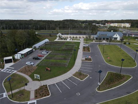 A home in LAND O LAKES