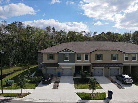 A home in LAND O LAKES