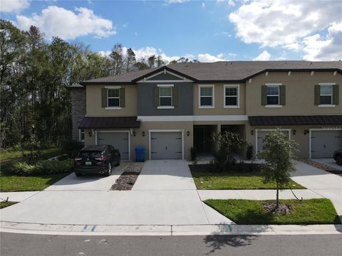 A home in LAND O LAKES