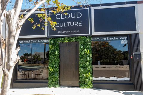 ST PETERSBURG FL 33701