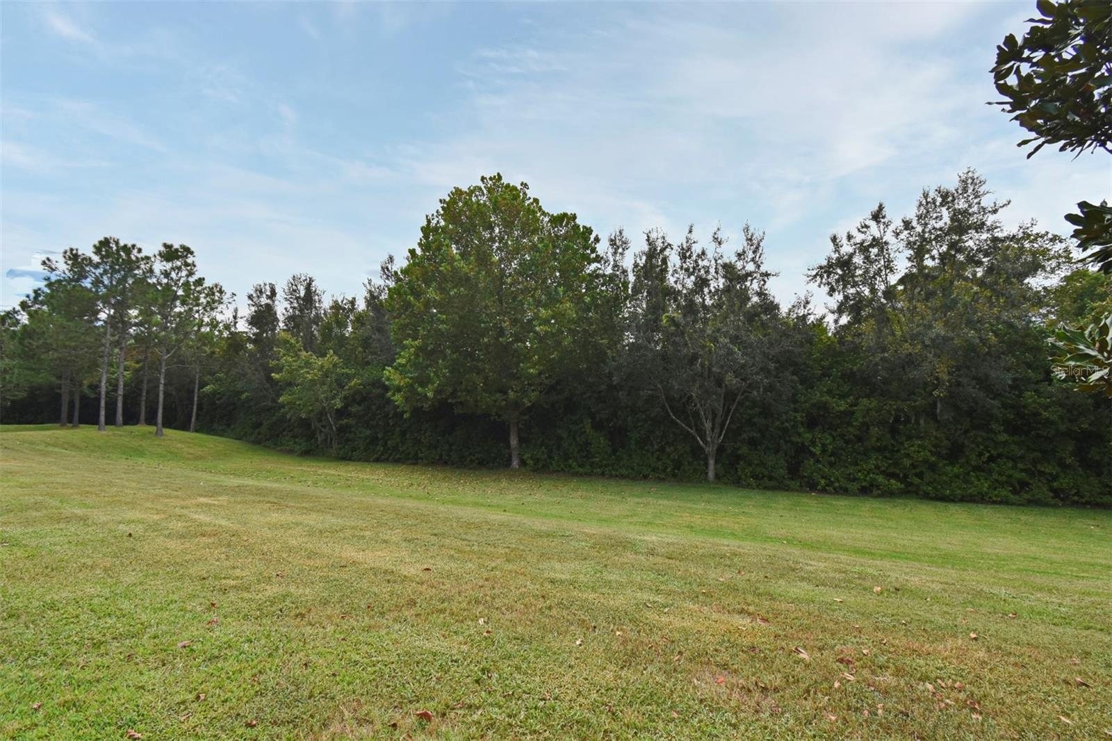 HANOVER POINTE REP - REP - Residential