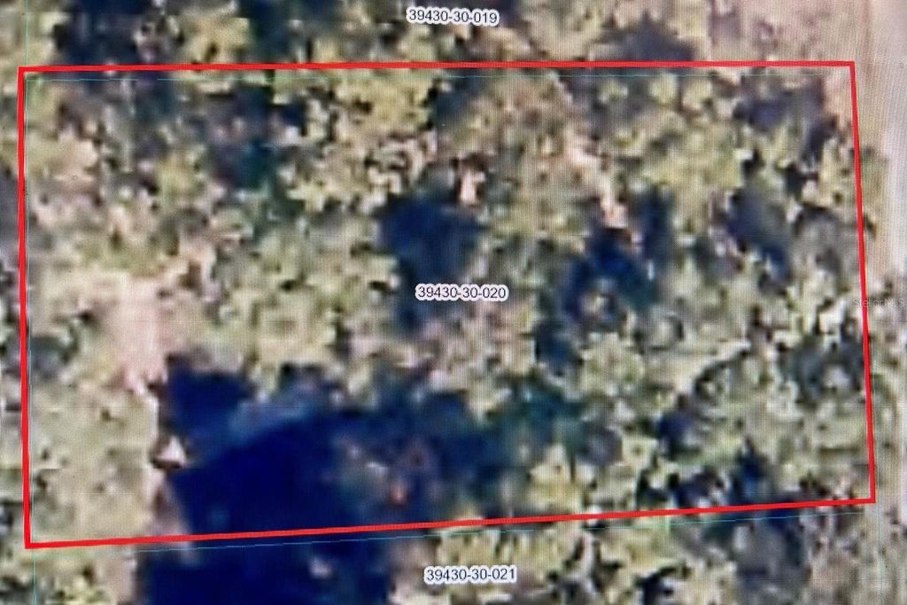 Photo of 0 SE 168 Avenue, Ocklawaha, FL 32179 (MLS # OM695782)